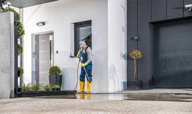 Best Vinyl Siding Pressure Washing in Franklin Grove, IL