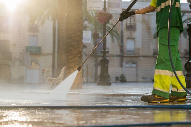Best Sidewalk and Walkway Pressure Cleaning in Franklin Grove, IL